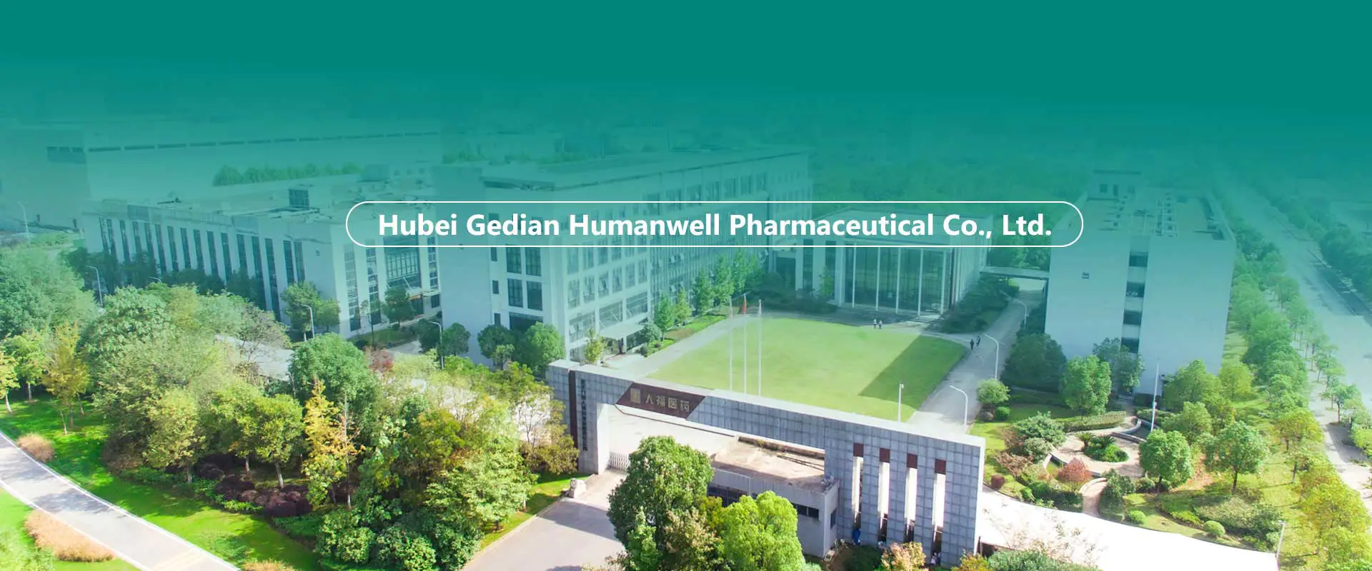 Kínai API-k, köztes termékek, készítmények gyára