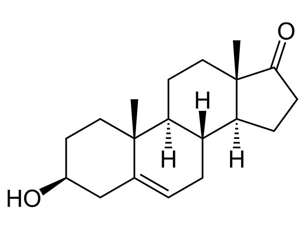 DHEA (praszteron)